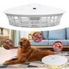 Flea Trap Dome USB Non Toxic Safe Odorless Natural Flea