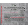 Concrete Stain Concentrate Just Add Water, User & Eco-Friendly Semi-Transparent