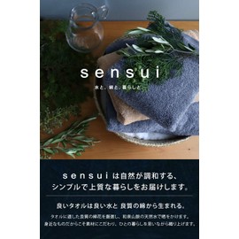 Sensui Yu Hand Towels, Set of 8, Instant Absorption, Antibacterial, Odor Resistant, Quick Drying, Osaka Senshu Towel, Large Towel Handkerchief, Approx. 13.4 x 13.8 inches (34 x 35 cm), Off-White