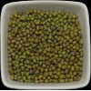 ZeeHERBS Mung Beans - Vigna Radiata - 1 oz