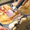 Ice Cream Scoop with Trigger - Stainless Steel Scooper for