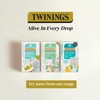 Twinings Superblends Digest Tea - Ginger & Turmeric Herbal Tea
