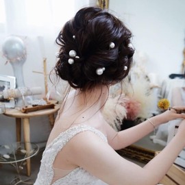LUYING Pearl Seal Hair Pearl Pin U Pin Hairpin Wedding Graduation Ceremony Entrance Ceremony Hair Ornament Headdress Kimono Arrangement Kimono Photography (18 Silver Pieces)