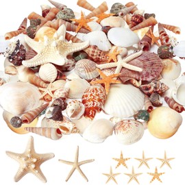 WEOXPR Mixed Seashells & Starfish Decor - 70 Pcs Assorted Sizes Natural Ocean Shells for Fish Tank, Vase Fillers, Beach Theme Party Wedding Decor, DIY Crafts, Candle Making, Home Decorations