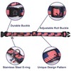 MR. CHUBBYFACE American Flag 4th of July Dog Collar Adjustable