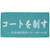 Haikyu Towel, Small, Turquoise