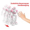 RC Programmable Robot with Infrared Remote Control, Dance Function, Sound