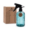 OFFIDIX Glass Spray Bottle, Plant Mister with Adjustable Nozzle 0.4L/13.5oz