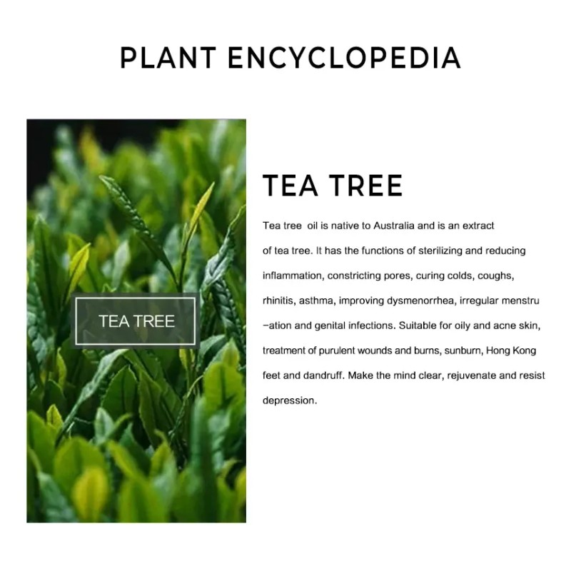 5pcs Aceite Esencial De Árbol De Té Antimicotico 100%natural