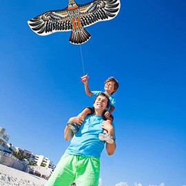 Eagle Kites for Adults and A Percect Kites for Kids Ages 4-8 Easy to Fly - Outside Beach Toys for Kids 1.6m (62") Wingspan - Multicolor Nylon Kite for Beach Trip and Outdoor Activities
