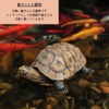 S.T.S.G Turtle Sculpture Garden Figurine, Yard Gardening Garden Object Interior