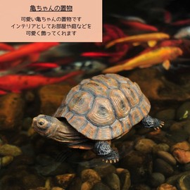 S.T.S.G Turtle Sculpture Garden Figurine, Yard Gardening Garden Object Interior Decoration Ornament Realistic Present Gift (Small Tortoise)