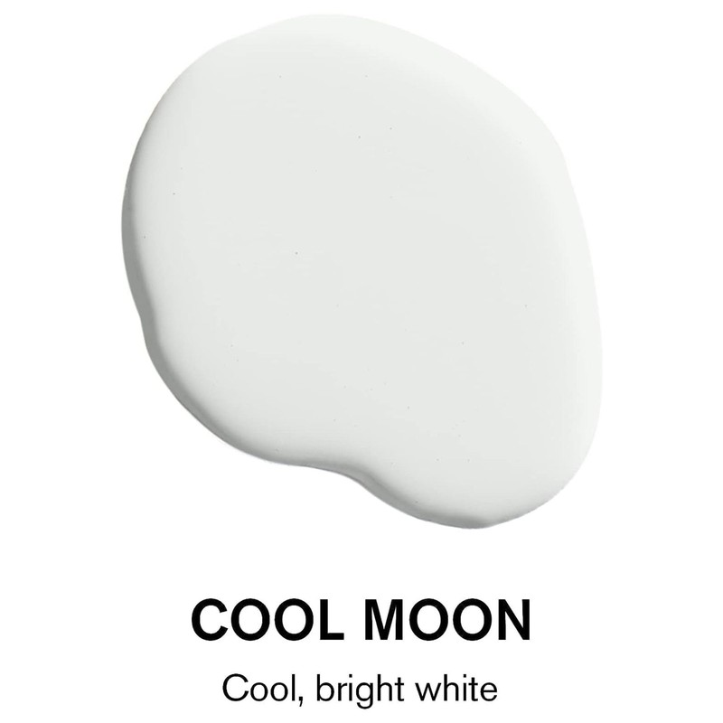 BACKDROP | Premium Interior Paint | Large Adhesive Paint Swatch