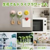 MITUKE Fridge Magnets, Vase Magnets, Test Tube Vase Magnet Storage
