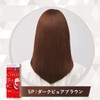 Hoyu Siero Hair Color EX Cream 5P (Dark Pure Brown)