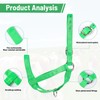 Cow Halter Cattle Halters Adjustable Calf Halter with Leading Rope