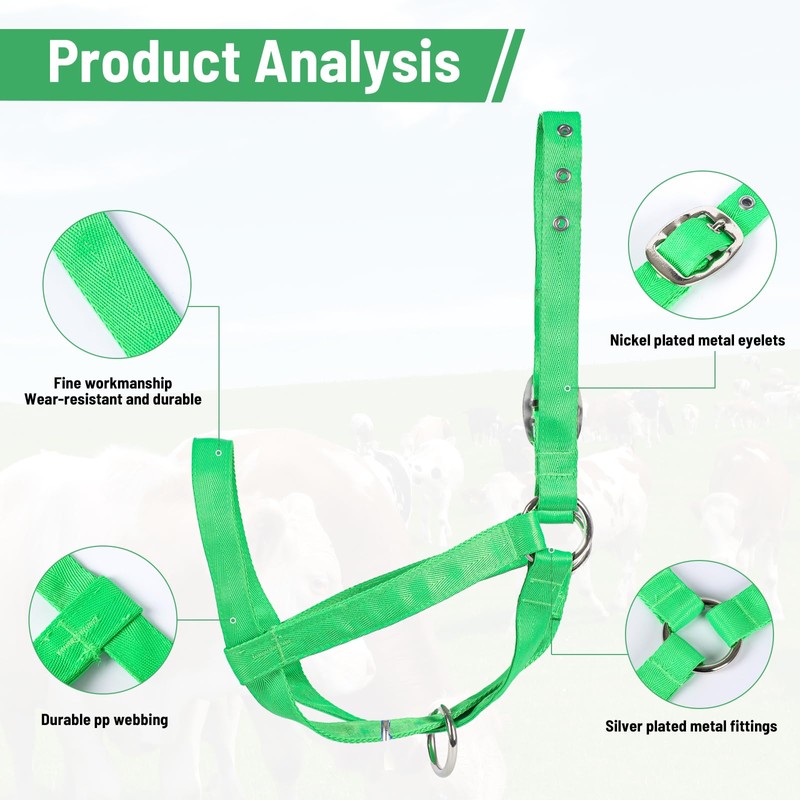 Cow Halter Cattle Halters Adjustable Calf Halter with Leading Rope