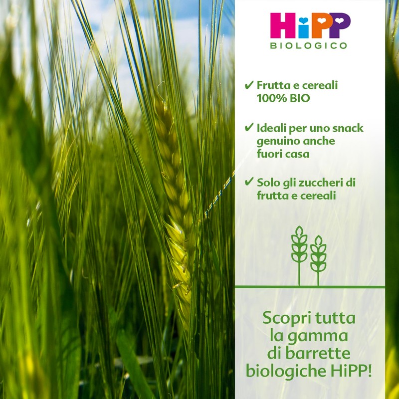 HiPP - Barrette alla Frutta Bio, Gusto Mela, Banana e
