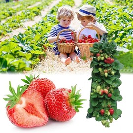 lohill Pack of 2 Plant Bags Hanging Vertical Plant Bag Strawberry Grow Bag Breathable