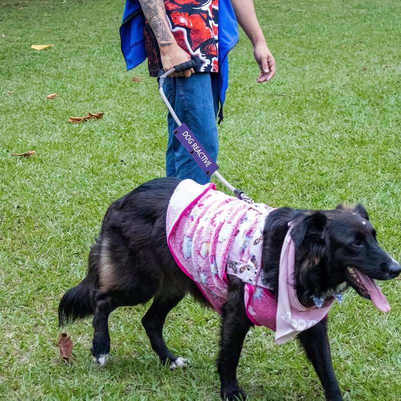 Dog Reactive Leash Sleeve Nervous Dog Leash Wrap Reactive Dog