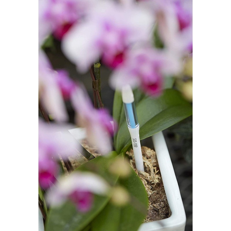 IPPINKA Sustee Aquameter, Bundle of 12, House Plant Soil Moisture