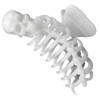 Gothic Skull Skeleton Ribcage Claw Horror Hair Clip (Glow in