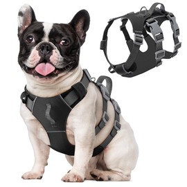 Eyein No Pull Dog Harness, Lightweight, Escape Proof Dog Harness with Handle for Small, Medium and Large Dogs, Reflective Adjustable Chest Harness for Daily Training, Black, S