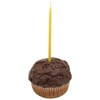 Beeswax Candle Works, 5-Inch Birthday Candles (Pack of 24) 100%