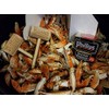 Phillips Seafood Seasoning - Maryland's World Famous Shrimp, Fish and