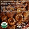 NaturOli Soap Nuts 1-Lb USDA Organic (240 Loads) + 18X