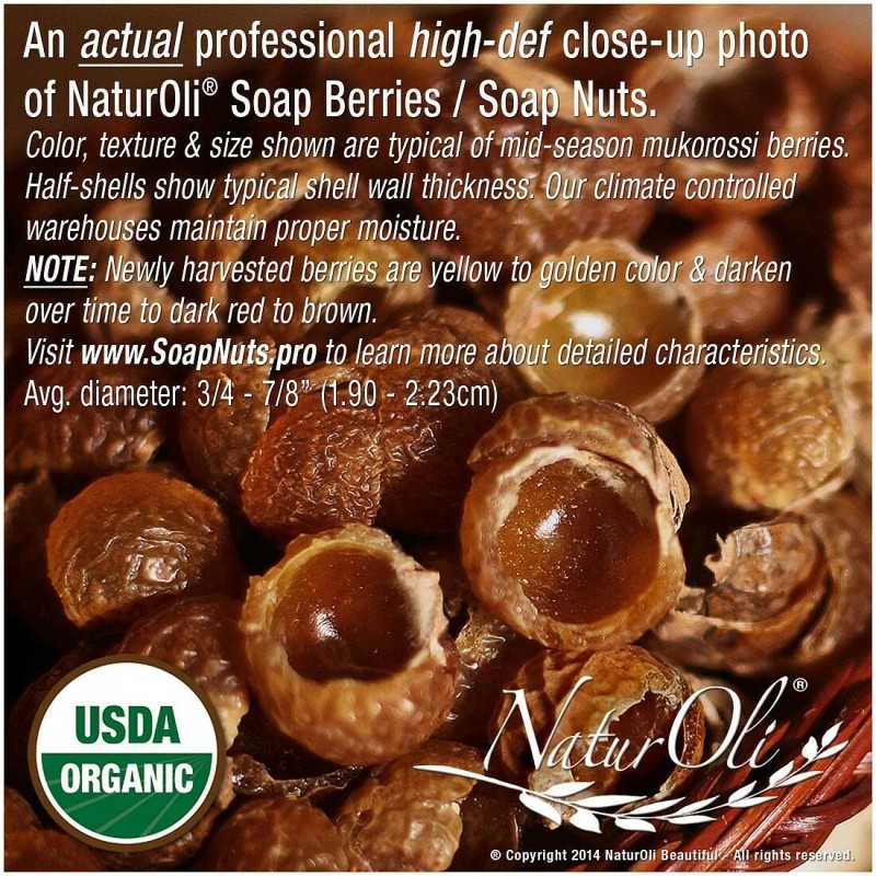 NaturOli Soap Nuts 1-Lb USDA Organic (240 Loads) + 18X