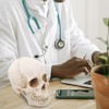 Healvian 1：1 Human Skull Model Realistic Skeleton Bones 7.47 Inch