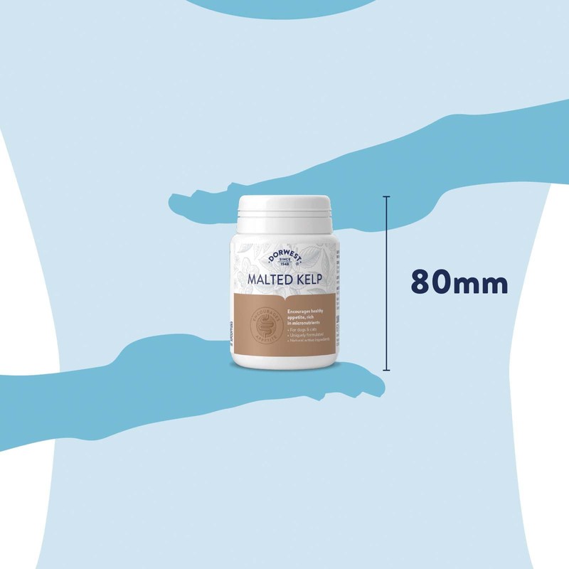 Dorwest Herbs Malted Kelp Tablets for Dogs and Cats 100