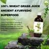 Basic Ayurveda Wheatgrass Meal Juice with No Added Sugar |