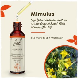 Original Bach flower drops.