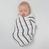 SwaddleDesigns Cotton Muslin Swaddle Blanket, Receiving Blanket for Boys &