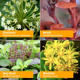 Herb Pharm Stress Manager Liquid Herbal Formula with Rhodiola and Holy Basil Liquid Extracts - 4 Ounce