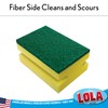 Lola Products Heavy Duty Dual Purpose Non-Scratch Scouring Sponge |