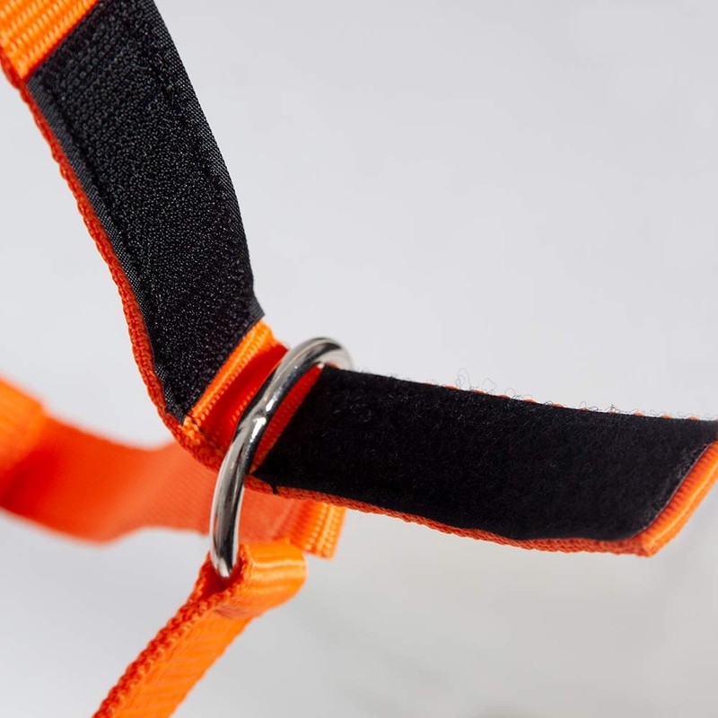 PFIFF Jocose 102921 Safety Halter Paddock Headcollar Orange Shetty