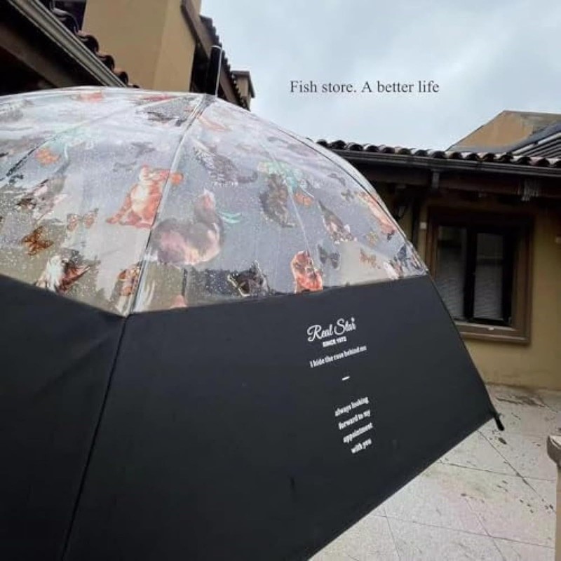 Diggly Vinyl Umbrella, Cat Pattern, Transparent Umbrella, Jumping Umbrella, Stylish,