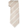 Dress Code 101 TIE-6 Men's Necktie, Stylish, Washable, Gift, Wedding,