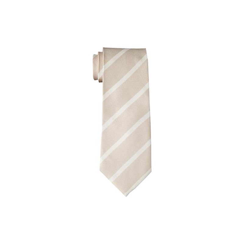 Dress Code 101 TIE-6 Men's Necktie, Stylish, Washable, Gift, Wedding,
