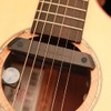 DOUBLE X1-Pro Guitar Pick-up Acoustic Guitar Preamp Professional Preamplifier Soundhole