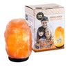 Salt Skill Himalayan Salt Lamp