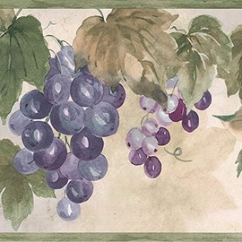 CONCORD WALLCOVERINGS ™ Classic Kitchen Wallpaper Border Featuring Leaves and Grapes, Colors Green Purple Beige Size 7 Inches by 15 Feet TK6412B