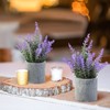CADNLY Pianta di lavanda artificiale in vaso, fiori di lavanda