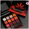 DAIZYKAT COSMETICS CALI ORANGE THE FORBIDEN FRUIT COLLECTION EYESHADOW PALETTE