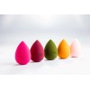 Except Makeup 5 Pcs Makeup Blender Beauty Sponge Set -