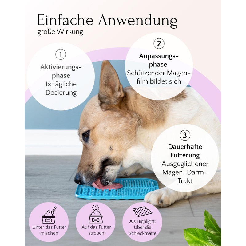 FAVLY Gastro Powder Gastro Gastro Intestinal Flora for Dogs 250