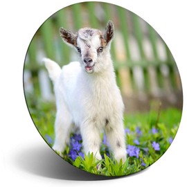 Destination Vinyl ltd Magnet for Refrigerator, Fridge - Cute Little Baby Goat Animals Farmer for Office, Cabinet and Whiteboard, Magnetic Stickers, 8565